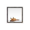 Picture of Singular Fox  _GroupedProduct_Square_Mini_ _GroupedProduct_Square_Canvas_Framed_