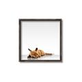 Picture of Singular Fox  _GroupedProduct_Square_Mini_ _GroupedProduct_Square_Canvas_Framed_