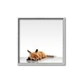 Picture of Singular Fox  _GroupedProduct_Square_Mini_ _GroupedProduct_Square_Canvas_Framed_