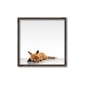 Picture of Singular Fox  _GroupedProduct_Square_Mini_ _GroupedProduct_Square_Canvas_Framed_