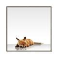 Picture of Singular Fox  _GroupedProduct_Square_Mini_ _GroupedProduct_Square_Canvas_Framed_