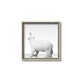 Picture of Singular Polar Bear _GroupedProduct_Square_Mini_ _GroupedProduct_Square_Canvas_Framed_