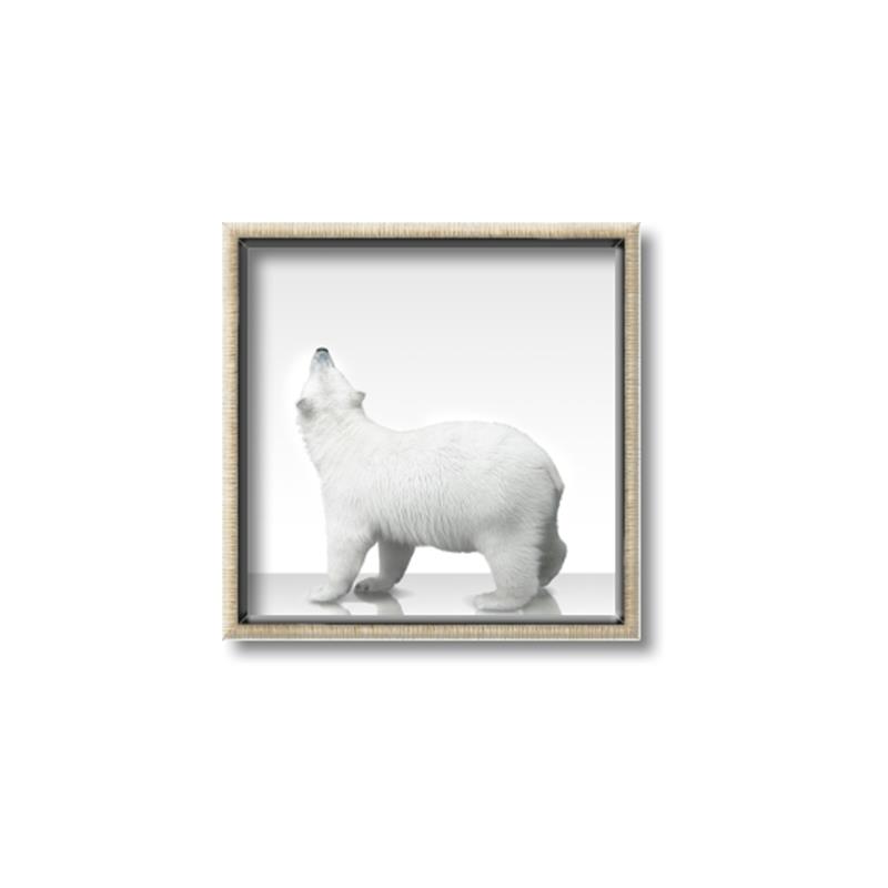 Picture of Singular Polar Bear _GroupedProduct_Square_Mini_ _GroupedProduct_Square_Canvas_Framed_