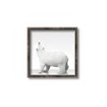 Picture of Singular Polar Bear _GroupedProduct_Square_Mini_ _GroupedProduct_Square_Canvas_Framed_
