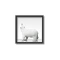 Picture of Singular Polar Bear _GroupedProduct_Square_Mini_ _GroupedProduct_Square_Canvas_Framed_