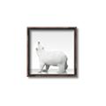 Picture of Singular Polar Bear _GroupedProduct_Square_Mini_ _GroupedProduct_Square_Canvas_Framed_