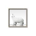 Picture of Singular Polar Bear _GroupedProduct_Square_Mini_ _GroupedProduct_Square_Canvas_Framed_