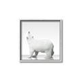 Picture of Singular Polar Bear _GroupedProduct_Square_Mini_ _GroupedProduct_Square_Canvas_Framed_
