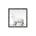 Picture of Singular Polar Bear _GroupedProduct_Square_Mini_ _GroupedProduct_Square_Canvas_Framed_