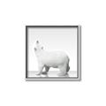 Picture of Singular Polar Bear _GroupedProduct_Square_Mini_ _GroupedProduct_Square_Canvas_Framed_