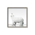 Picture of Singular Polar Bear _GroupedProduct_Square_Mini_ _GroupedProduct_Square_Canvas_Framed_