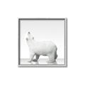 Picture of Singular Polar Bear _GroupedProduct_Square_Mini_ _GroupedProduct_Square_Canvas_Framed_