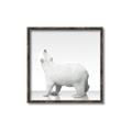 Picture of Singular Polar Bear _GroupedProduct_Square_Mini_ _GroupedProduct_Square_Canvas_Framed_