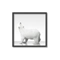 Picture of Singular Polar Bear _GroupedProduct_Square_Mini_ _GroupedProduct_Square_Canvas_Framed_