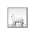 Picture of Singular Polar Bear _GroupedProduct_Square_Mini_ _GroupedProduct_Square_Canvas_Framed_