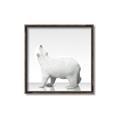 Picture of Singular Polar Bear _GroupedProduct_Square_Mini_ _GroupedProduct_Square_Canvas_Framed_