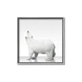 Picture of Singular Polar Bear _GroupedProduct_Square_Mini_ _GroupedProduct_Square_Canvas_Framed_