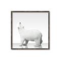 Picture of Singular Polar Bear _GroupedProduct_Square_Mini_ _GroupedProduct_Square_Canvas_Framed_