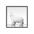 Picture of Singular Polar Bear _GroupedProduct_Square_Mini_ _GroupedProduct_Square_Canvas_Framed_
