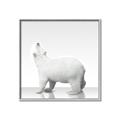 Picture of Singular Polar Bear _GroupedProduct_Square_Mini_ _GroupedProduct_Square_Canvas_Framed_