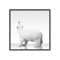 Picture of Singular Polar Bear _GroupedProduct_Square_Mini_ _GroupedProduct_Square_Canvas_Framed_
