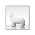 Picture of Singular Polar Bear _GroupedProduct_Square_Mini_ _GroupedProduct_Square_Canvas_Framed_
