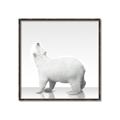 Picture of Singular Polar Bear _GroupedProduct_Square_Mini_ _GroupedProduct_Square_Canvas_Framed_