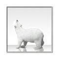 Picture of Singular Polar Bear _GroupedProduct_Square_Mini_ _GroupedProduct_Square_Canvas_Framed_