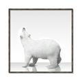 Picture of Singular Polar Bear _GroupedProduct_Square_Mini_ _GroupedProduct_Square_Canvas_Framed_