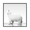 Picture of Singular Polar Bear _GroupedProduct_Square_Mini_ _GroupedProduct_Square_Canvas_Framed_