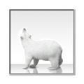 Picture of Singular Polar Bear _GroupedProduct_Square_Mini_ _GroupedProduct_Square_Canvas_Framed_