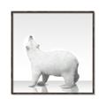 Picture of Singular Polar Bear _GroupedProduct_Square_Mini_ _GroupedProduct_Square_Canvas_Framed_