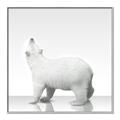 Picture of Singular Polar Bear _GroupedProduct_Square_Mini_ _GroupedProduct_Square_Canvas_Framed_