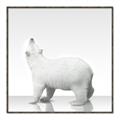 Picture of Singular Polar Bear _GroupedProduct_Square_Mini_ _GroupedProduct_Square_Canvas_Framed_