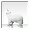 Picture of Singular Polar Bear _GroupedProduct_Square_Mini_ _GroupedProduct_Square_Canvas_Framed_