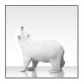 Picture of Singular Polar Bear _GroupedProduct_Square_Mini_ _GroupedProduct_Square_Canvas_Framed_