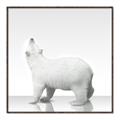Picture of Singular Polar Bear _GroupedProduct_Square_Mini_ _GroupedProduct_Square_Canvas_Framed_