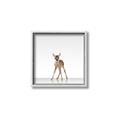 Picture of Singular Deer _GroupedProduct_Square_Mini_ _GroupedProduct_Square_Canvas_Framed_
