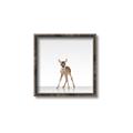 Picture of Singular Deer _GroupedProduct_Square_Mini_ _GroupedProduct_Square_Canvas_Framed_