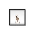 Picture of Singular Deer _GroupedProduct_Square_Mini_ _GroupedProduct_Square_Canvas_Framed_