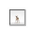 Picture of Singular Deer _GroupedProduct_Square_Mini_ _GroupedProduct_Square_Canvas_Framed_