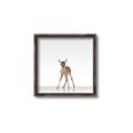 Picture of Singular Deer _GroupedProduct_Square_Mini_ _GroupedProduct_Square_Canvas_Framed_