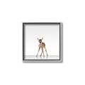 Picture of Singular Deer _GroupedProduct_Square_Mini_ _GroupedProduct_Square_Canvas_Framed_