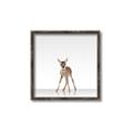 Picture of Singular Deer _GroupedProduct_Square_Mini_ _GroupedProduct_Square_Canvas_Framed_