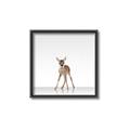 Picture of Singular Deer _GroupedProduct_Square_Mini_ _GroupedProduct_Square_Canvas_Framed_