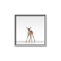 Picture of Singular Deer _GroupedProduct_Square_Mini_ _GroupedProduct_Square_Canvas_Framed_