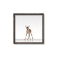 Picture of Singular Deer _GroupedProduct_Square_Mini_ _GroupedProduct_Square_Canvas_Framed_
