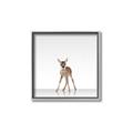 Picture of Singular Deer _GroupedProduct_Square_Mini_ _GroupedProduct_Square_Canvas_Framed_
