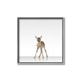 Picture of Singular Deer _GroupedProduct_Square_Mini_ _GroupedProduct_Square_Canvas_Framed_