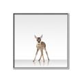 Picture of Singular Deer _GroupedProduct_Square_Mini_ _GroupedProduct_Square_Canvas_Framed_